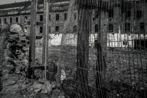 dundee-landscape-photographer